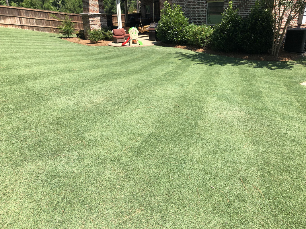 9A155DBC-3A05-406C-9B1F-3D6E7D0F7692