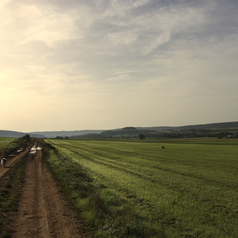 5A773BA8-B09E-4C8B-B483-93C9CFAB054E