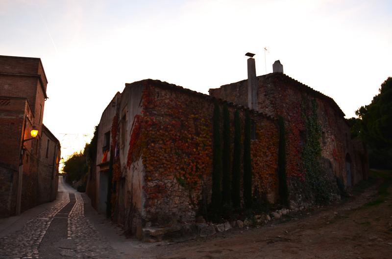 VULPELLAC-21-11-2017 - Gerona y sus pueblos-2016/2017 (19)