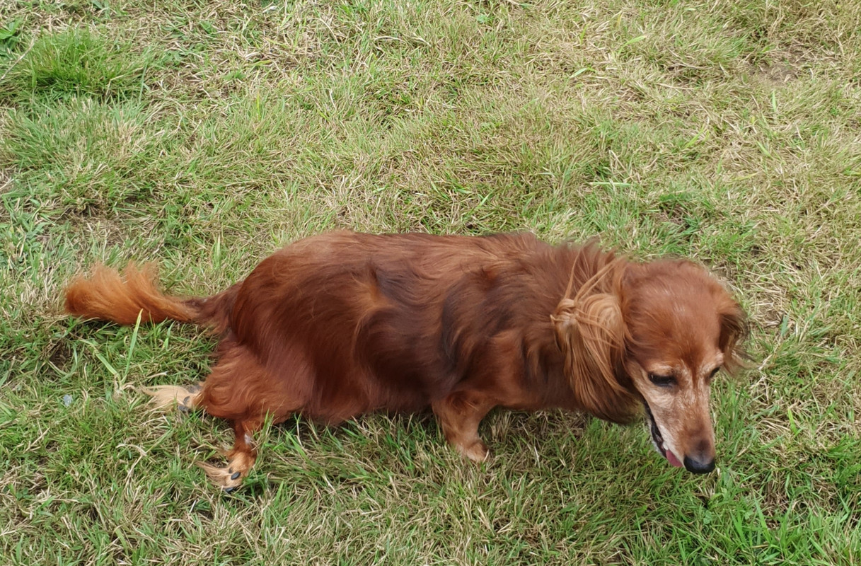 [Image: 20210920-070246.jpg]