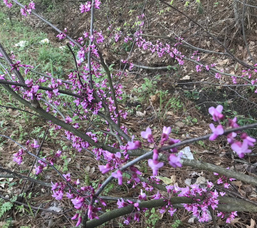 CCD1DF62-401B-474C-8118-E46FEB51C9E7