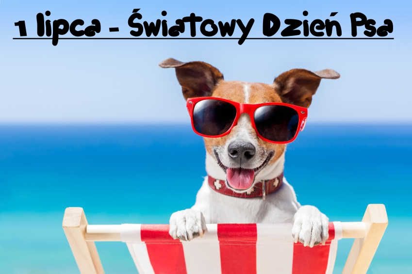 449529734-452217284273646-24912359821415