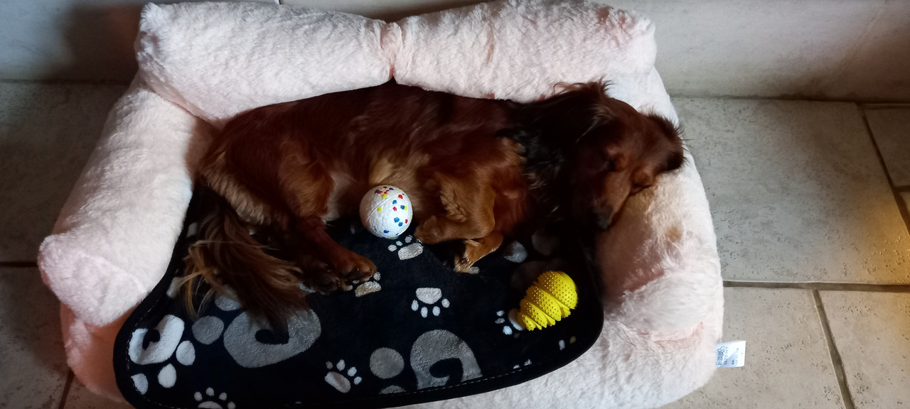 [Image: 20241025-124949.jpg]