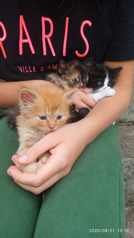 034A7407-68C9-4AD8-8DCE-60ECA869364E