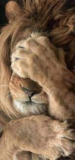 téléchargement (1)