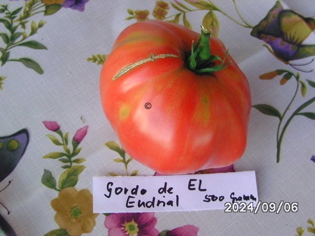 [Bild: BILD0402.jpg]