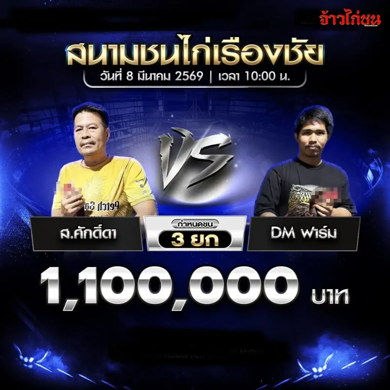 โปรแกรมไก่ชน ส.ศักดิ์ดา vs DM ฟาร์ม สนามชนไก่เรืองชัย 8 มีนาคม 2569