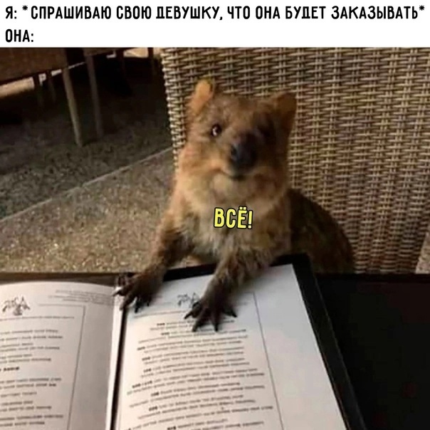 73hiCxOwRQQ