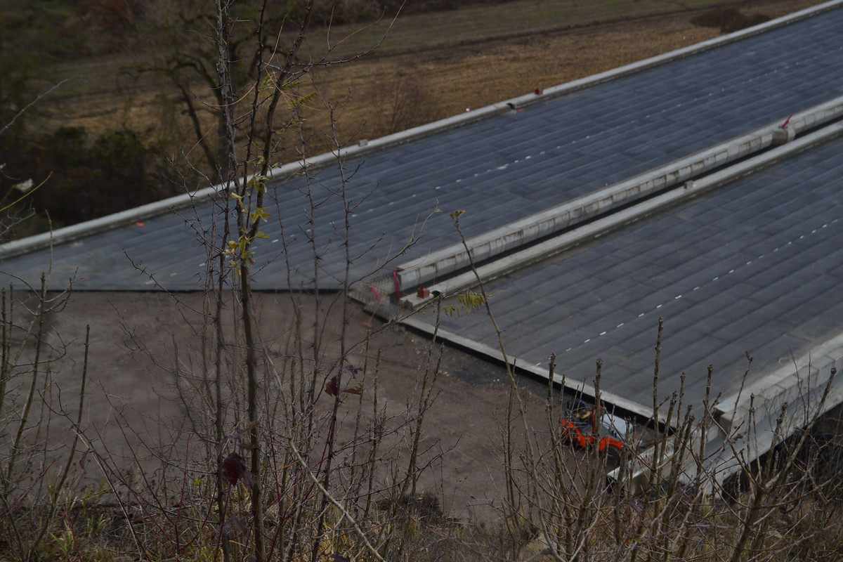 DSC_9265