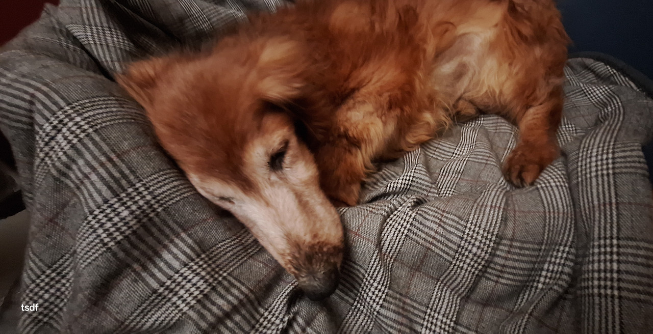 [Image: 20250126-185749.jpg]