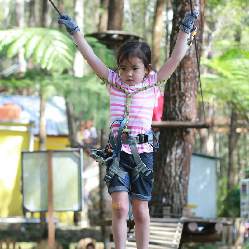 Aktivitas outbond untuk anak di Kopeng Treetop