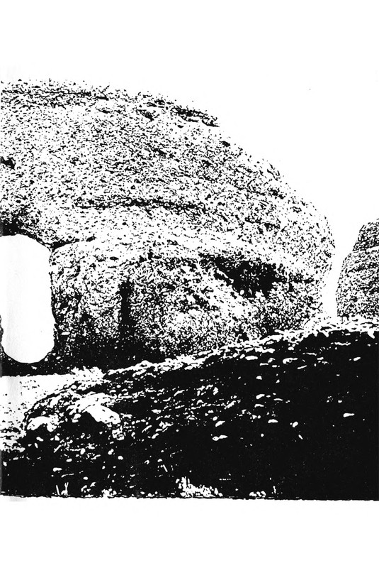p0010