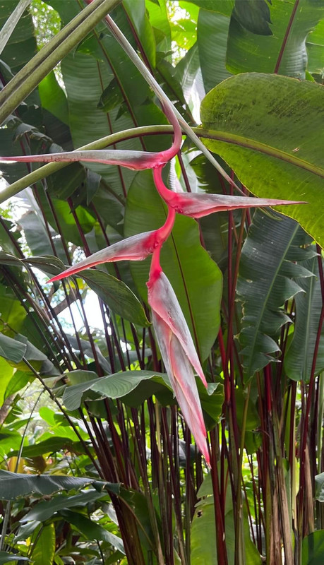 433015884_7291609147583296_7311667521165624528_n