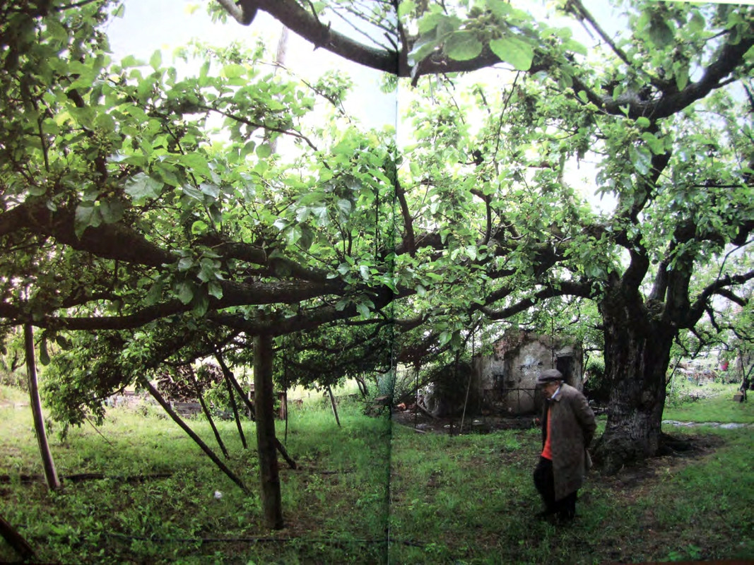 Тонино Гуэрра Уйти как прийти_page-0002