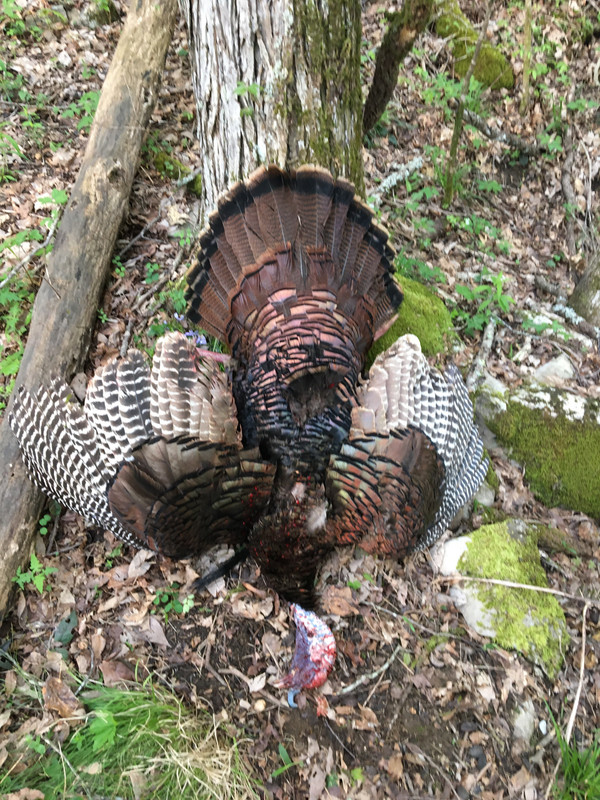 90D33C12-E419-41E1-9A08-B5D77859525C