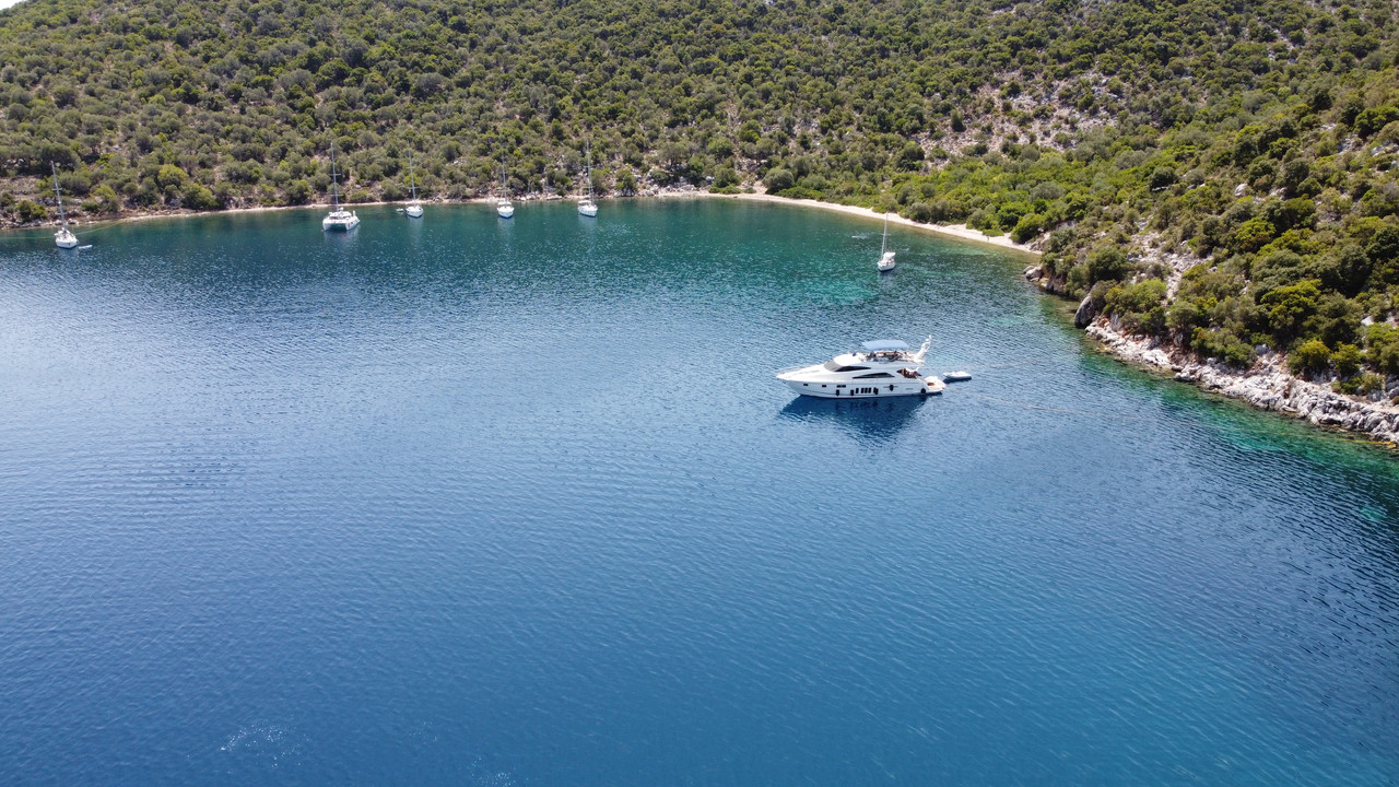 F989953B-E02E-4462-BEAB-324C2E251036