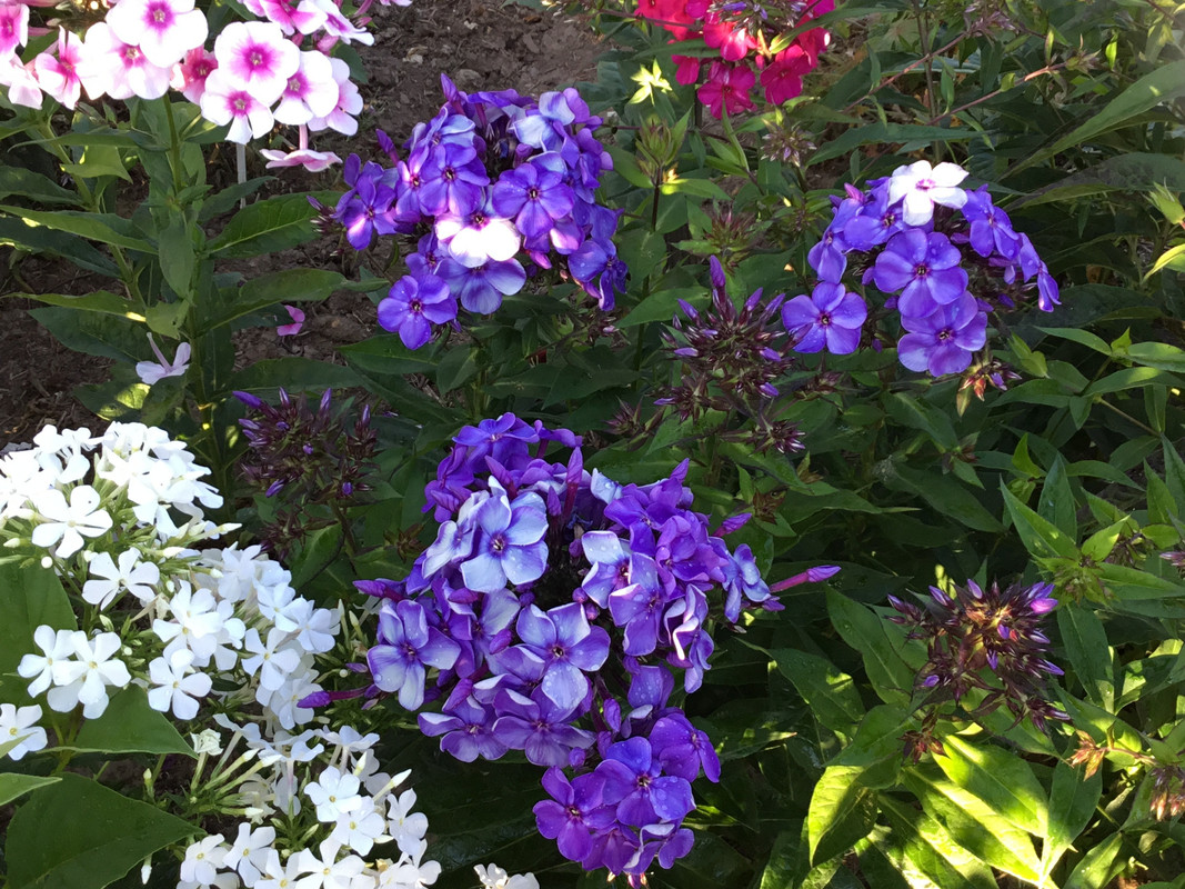 F097B30B-FC6C-4CEE-9D5E-ADE3DA28E947