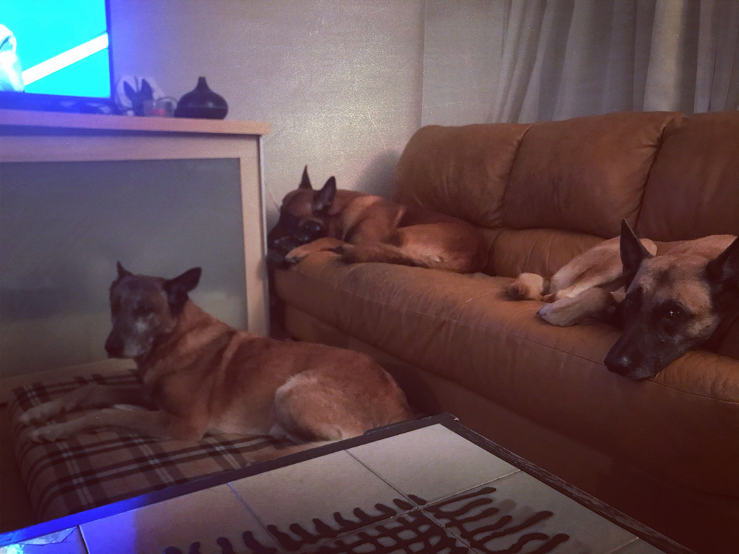 0AE5FE1E-D4D3-46EA-8167-BB8B23579587