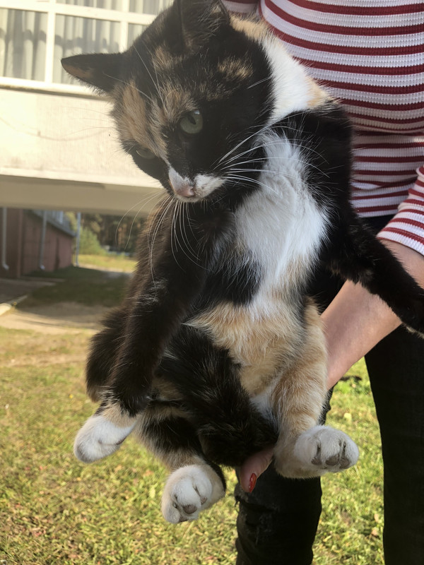 3031A562-C7CF-4230-B8A5-43819302DEAE