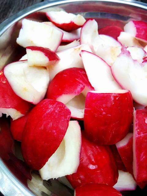 jambu bol4