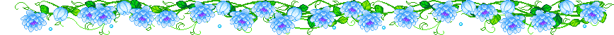 blue 27