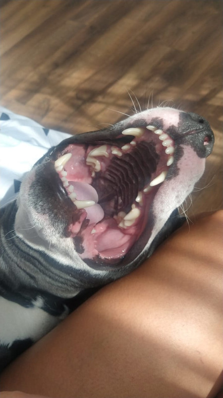 47D8B06D-20E1-4767-BBFF-B2B8B4C17A6B