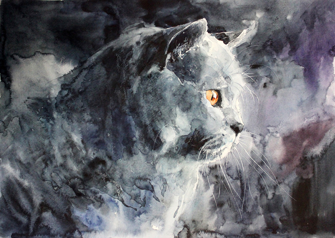 3-british-blue-by-elenashved-d6x605s