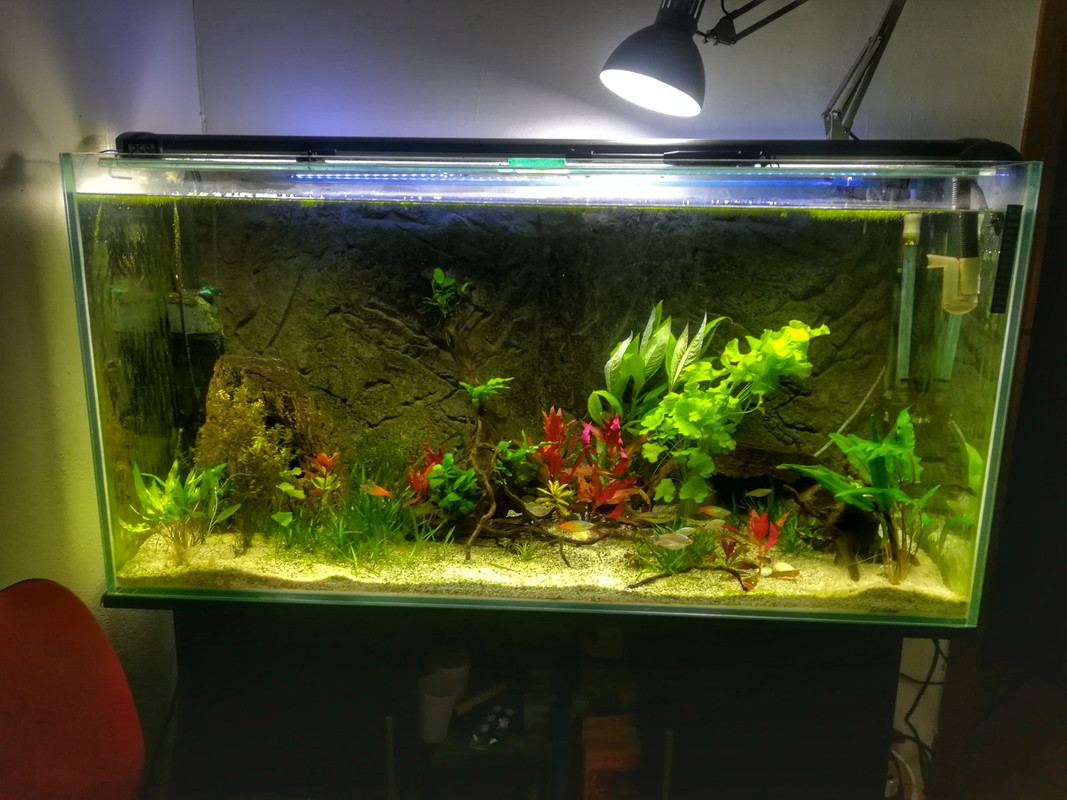 11F20660-FD37-4572-A424-6A77FEA6D20B