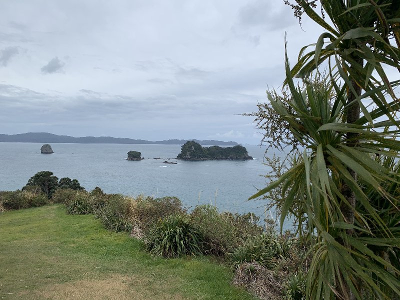 Whitianga-Matamata - Nueva Zelanda: La primavera Kiwi nos fue marcando la ruta (2)