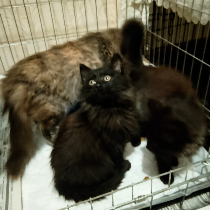 IMG 20251119 150403 2