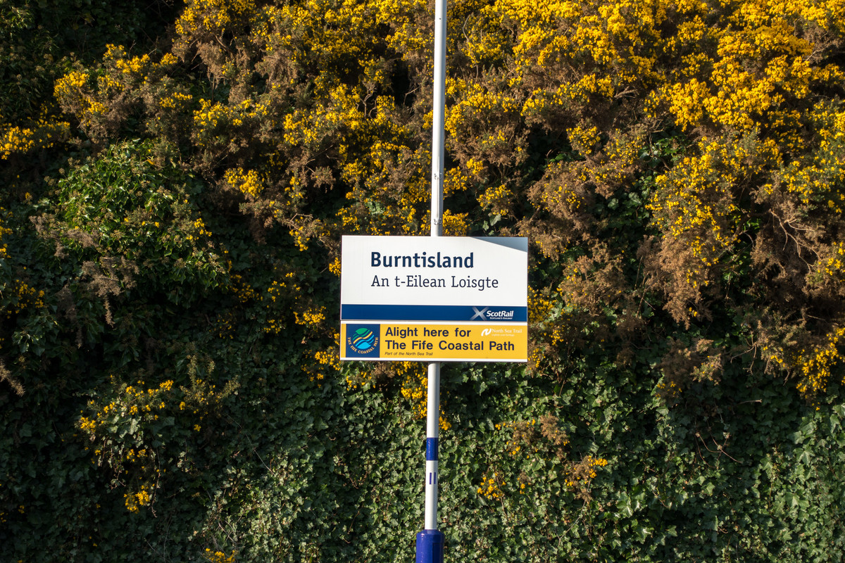 dsc04662-1_16513026203_o