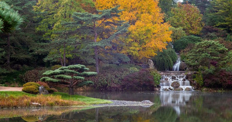 78351430-10157776698440699-3090760548984291328-n