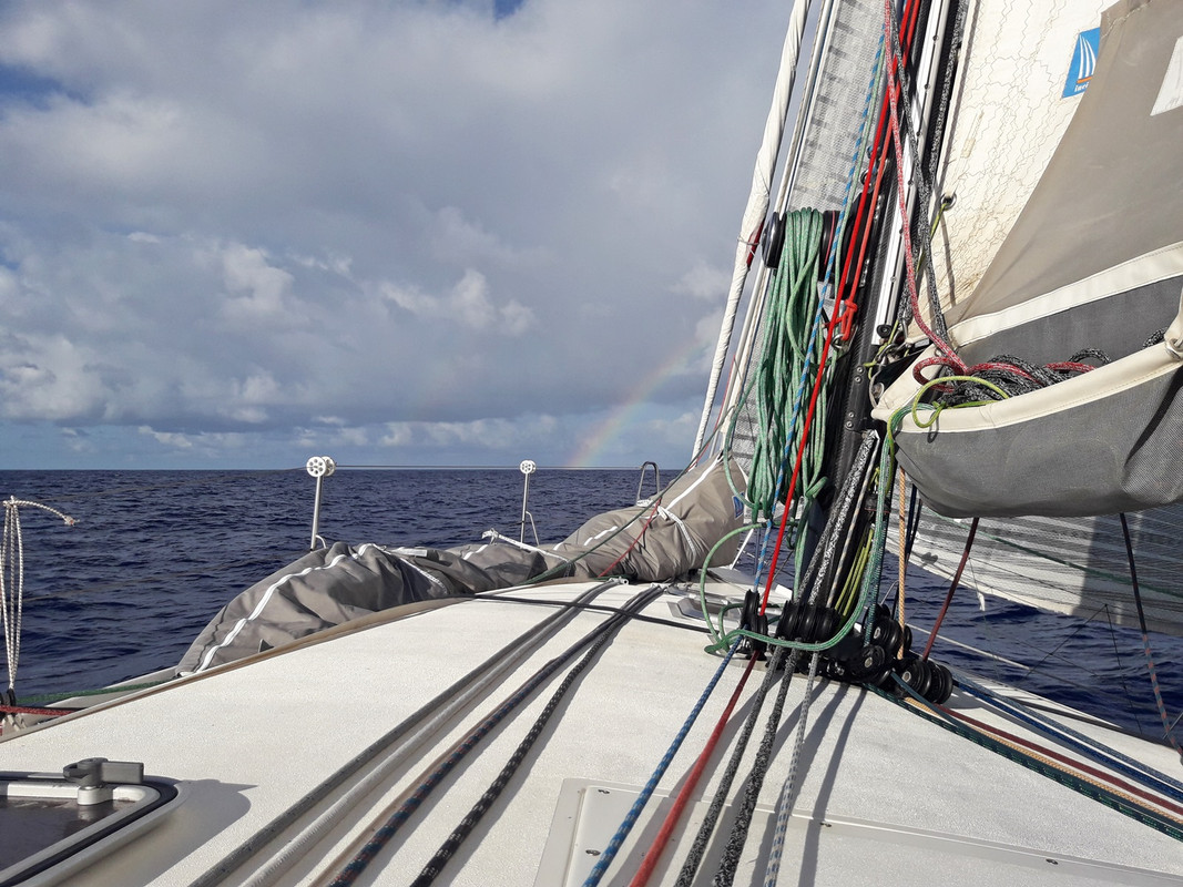 [Imagen: 20200223_121935.jpg]