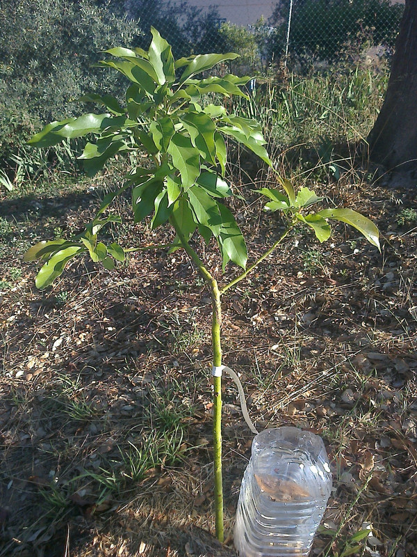 foto0119