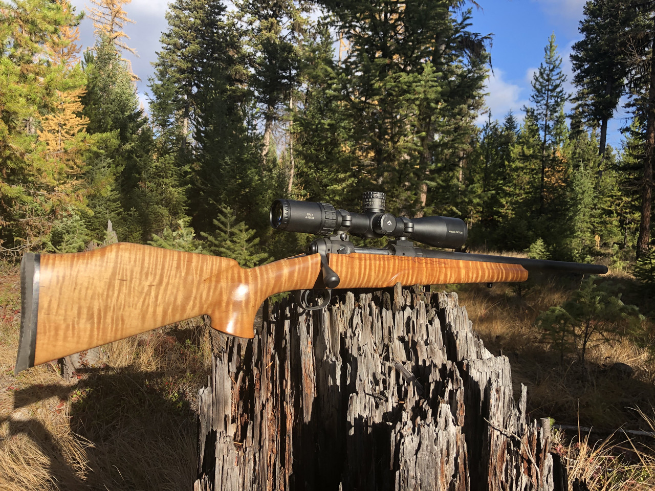 39860804 3254 45F2 B49A 50CB6A8C2BDD 2