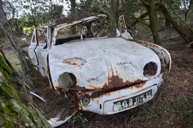 Renault Dauphine Bagnoles