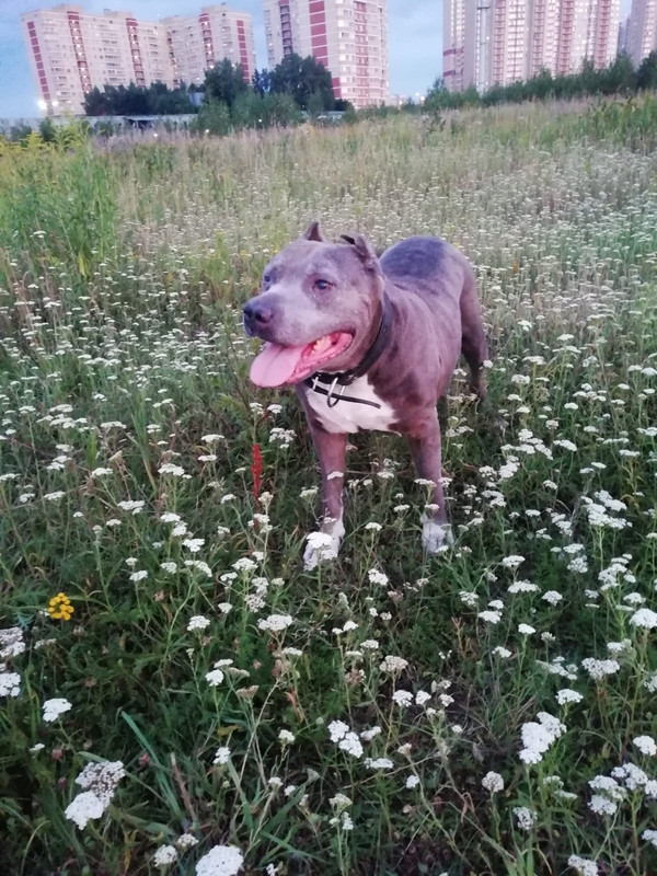 5679DBA9-ECD0-436F-9A9D-115638AEB216