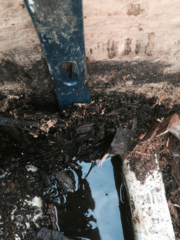 B3F0EF62-D975-4E57-8234-F351E39D8EFD