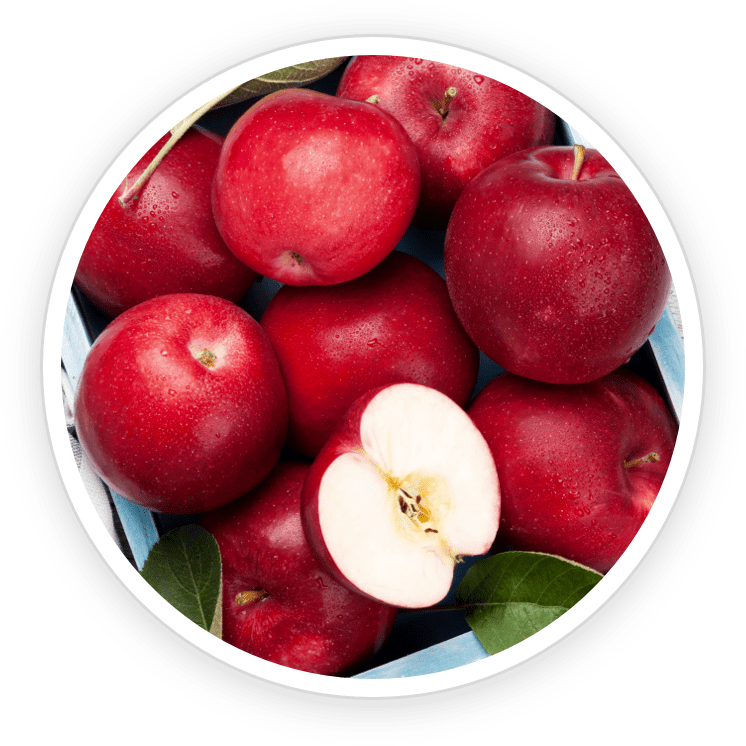 Malic Acid ingredient artwork