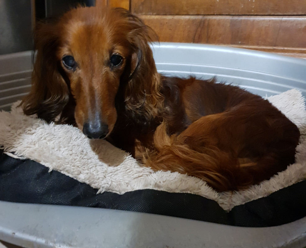 [Image: 20210303-205456.jpg]