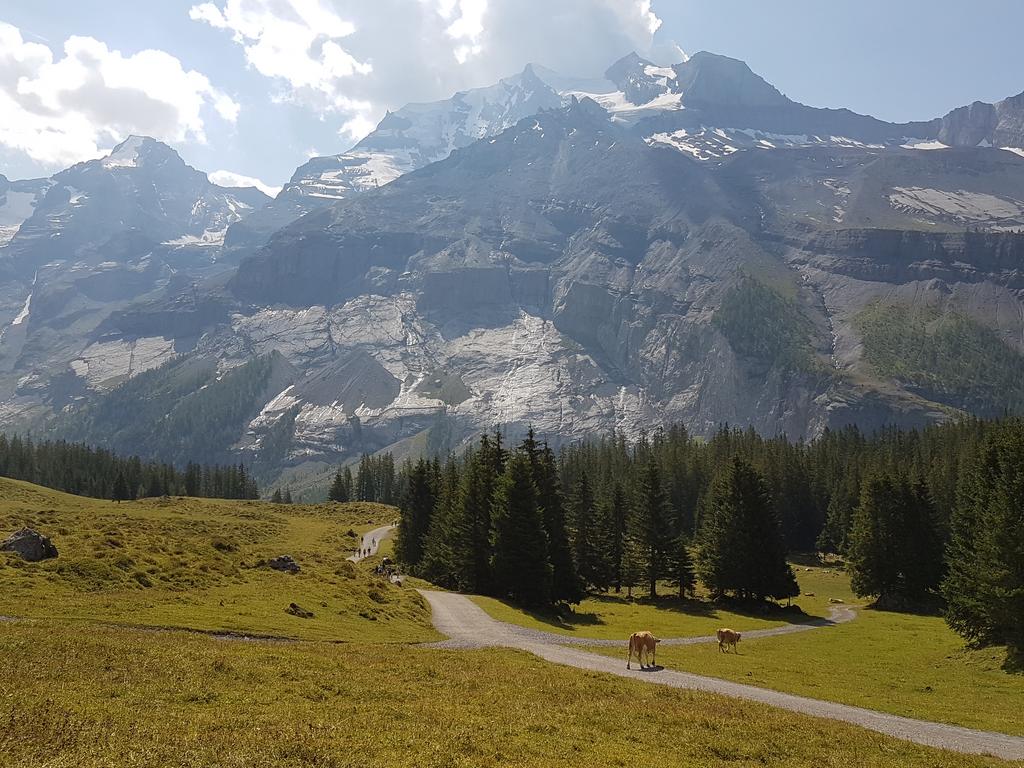 OESCHINENSEE- PASEO POR KANDERSTEG - VOLVEMOS A SUIZA! + PUY DU FOU, ORADUR SUR GLANE, SAINT EMILION...Y ASTURIAS (2)
