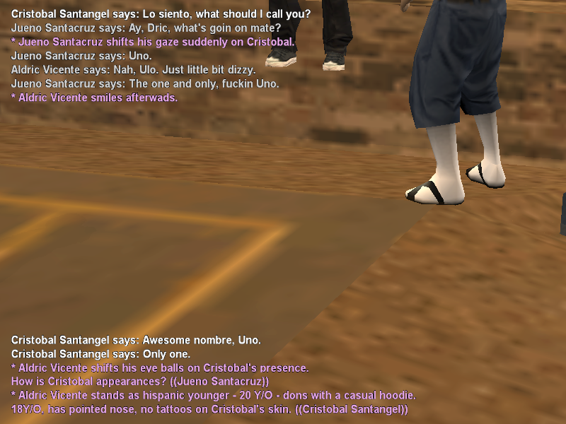 SS2.png