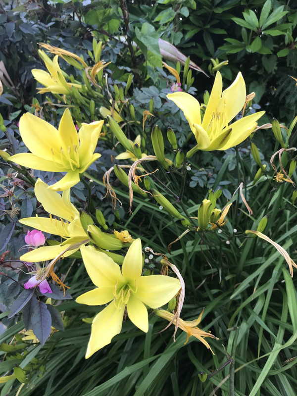 73D48431-79D4-4096-9006-0AE1E722F545