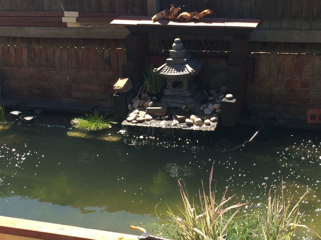 D7FE7B47-2303-4FF4-B1D7-FAA9EB545251