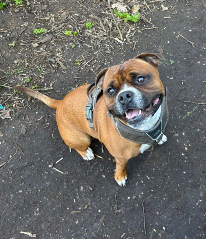 PHOTO 2026 03 19 17 01 51