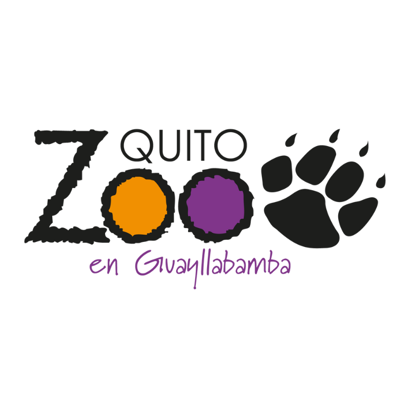 Logo 17