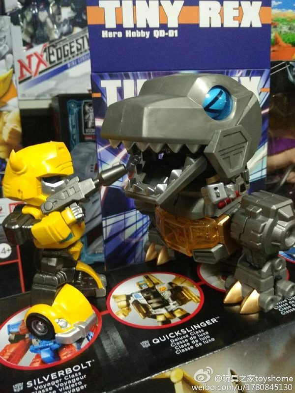 12360290_929654500454293_1686088738154790879_n