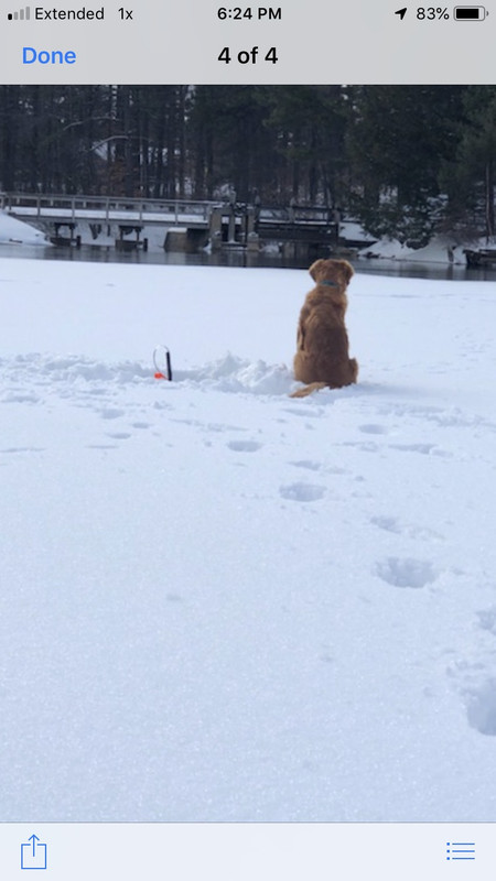 F4CF747C-2A61-491E-B693-0F2842CD6231