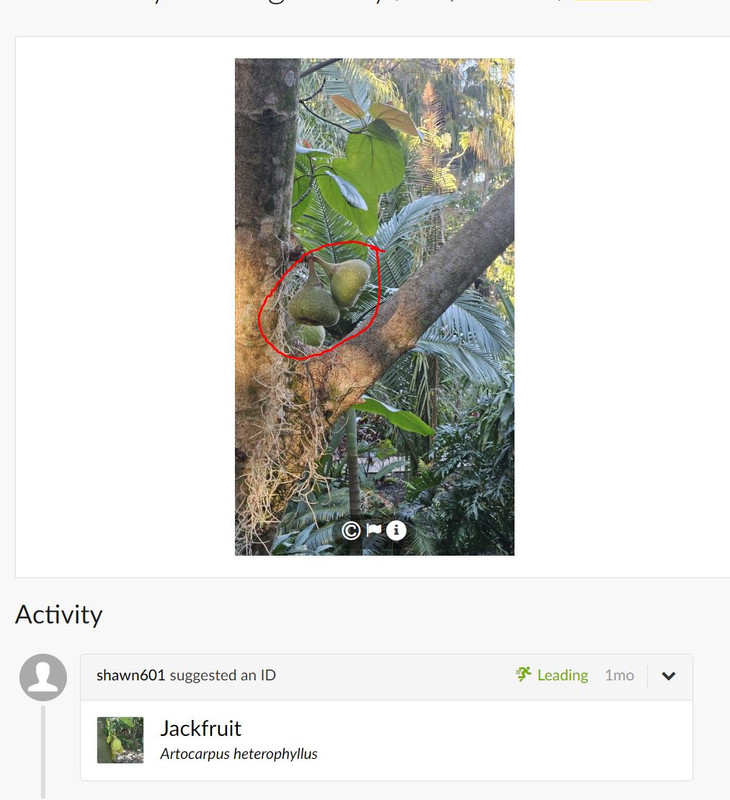 Capture