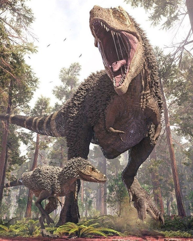 8963dba52d721e82e95a087a393fd7ea